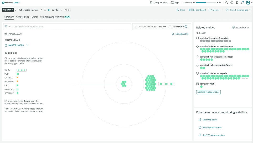 New Relic cluster explorer